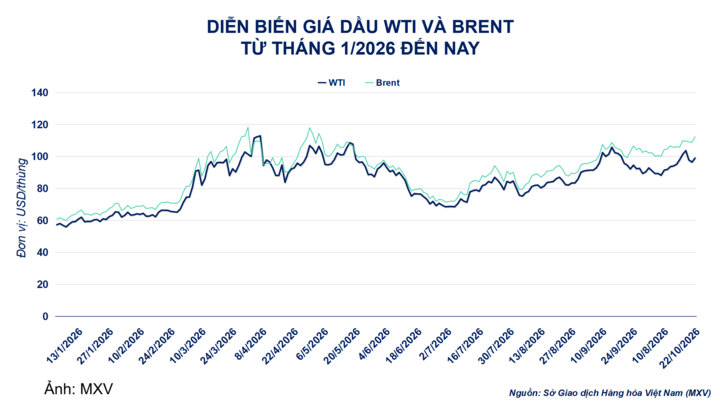 Diễn biến giá dầu.