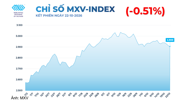 Chỉ số MXV Index.