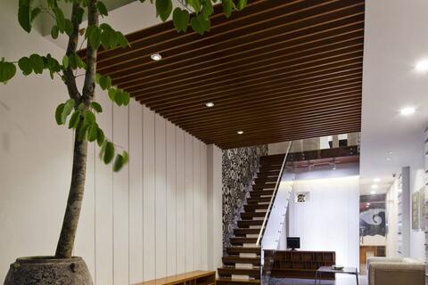 Trồng cây gì ở giếng trời để nhà xanh mát, giàu sinh khí?