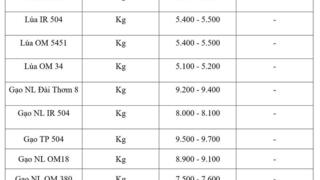 Giá lúa gạo hôm nay ngày 3/4: Gạo nguyên liệu xuất khẩu tăng nhẹ