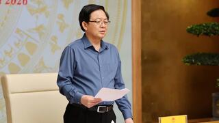 Hành động quyết liệt, khắc phục triệt để khuyến nghị của EC về gỡ 'thẻ vàng' IUU