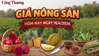 Giá nông sản hôm nay 16/4/2026: Nhiều mặt hàng biến động mạnh