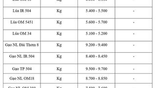 Giá lúa gạo hôm nay ngày 28/4: Thị trường 'lặng sóng'