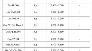 Giá lúa gạo hôm nay ngày 28/5/2026: Gạo thơm dẻo xuất khẩu neo cao