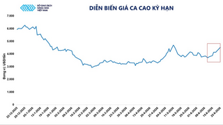 Giá ca cao tăng vọt hơn 9% trước rủi ro nguồn cung