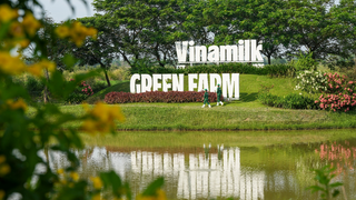 Vinamilk tiếp tục mang về nguồn cổ tức nghìn tỷ cho SCIC