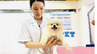Ngành thú cưng tìm dư địa tăng trưởng từ hệ sinh thái dịch vụ