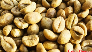 Nguồn cung cải thiện, giá cà phê thế giới giảm phiên thứ ba liên tiếp