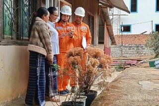 Cái bắt tay giữa 'nhà nông' và 'nhà đèn' trong việc tiết kiệm điện