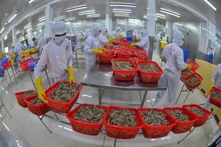 Hiệp định VIFTA: Động lực mới thúc đẩy hợp tác toàn diện Việt Nam - Israel