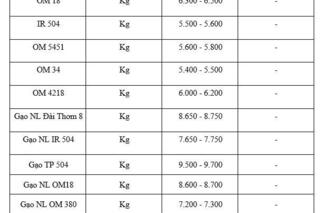 Giá lúa gạo hôm nay ngày 16/1/2026: Phụ phẩm tăng nhẹ