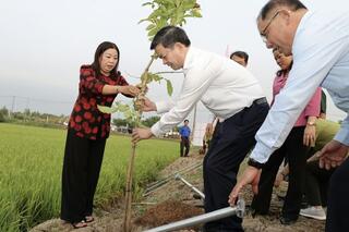 Cần Thơ phát động Tết trồng cây, kỳ vọng vụ lúa Đông Xuân thắng lợi