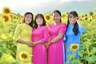 10.000 hoa hướng dương nở rộ, rực rỡ sắc vàng tại TP. Đà Nẵng