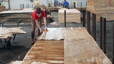 Nhiều “rào cản” kìm hãm sự tăng trưởng xuất khẩu ngành gỗ dán