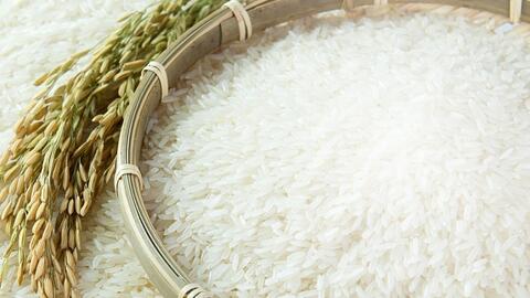 Giá lúa gạo hôm nay 23/6: Giá gạo nguyên liệu tiếp tục tăng