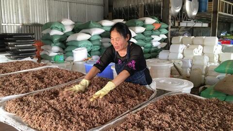 Làm OCOP để thúc đẩy phát triển KT-XH ở Lai Châu