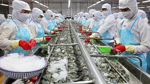 Xuất khẩu thủy sản nửa đầu năm 2021 thu về hơn 4,1 tỷ USD