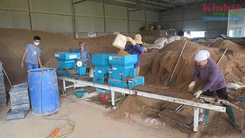 Hành trình đưa sản phẩm “Gạo ruộng rươi” đạt chuẩn OCOP