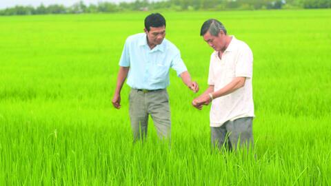 Chia sẻ, hỗ trợ để cùng sản xuất hiệu quả