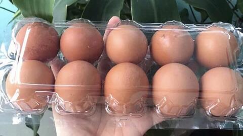 Trứng gà tăng giá gấp đôi vẫn "cháy" hàng