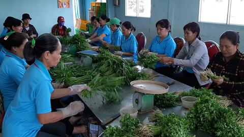 Tiếp tục xây dựng chuỗi cung ứng sản phẩm nông sản sạch