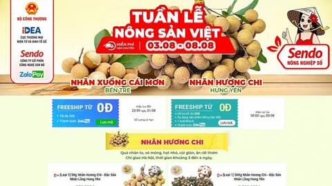 Tiếp tục hỗ trợ tiêu thụ nhãn lồng Hưng Yên trên sàn thương mại điện tử