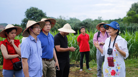 Hà Nội: Xây dựng sản phẩm OCOP cho du lịch