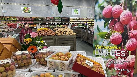 Nông sản Việt Nam xuất khẩu sang Australia tăng trưởng mạnh mẽ