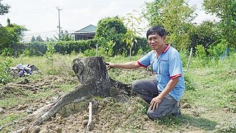 Tiền Giang: Nhiều giải pháp ngăn hạn mặn