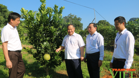 Trung ương Hội Nông dân Việt Nam: Bàn giao tài sản  Trung tâm Dạy nghề và Hỗ trợ nông dân cho Sơn La