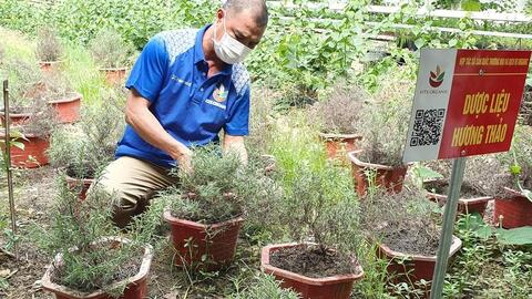 Nhiều giải pháp gỡ khó cho sản phẩm OCOP Bắc Giang
