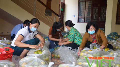 Hội Nông dân tỉnh Điện Biên: Hỗ trợ tiêu thụ 10 tấn cam vàng Hà Giang