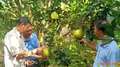 Nông thôn Tây Bắc: Lãnh đạo cùng người dân lo tiêu thụ nông sản