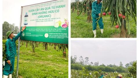 Khám phá trang trại cây ăn quả hữu cơ bậc nhất Nghệ An