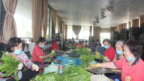 Phát huy vai trò kinh tế tập thể trong tái cơ cấu ngành nông nghiệp