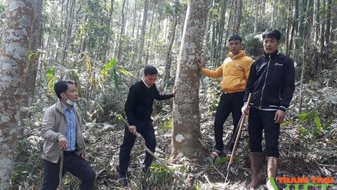 Nông thôn Tây Bắc: Lai Châu làm tốt dịch vụ môi trường rừng