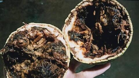 Chàng kỹ sư trẻ rời nước Pháp hoa lệ về Bình Phước... trồng bơ, không ngờ thu được tiền tỷ