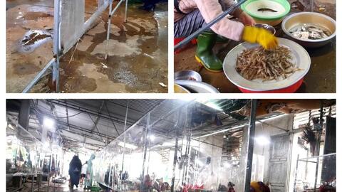 Tàu thuyền ngưng đánh bắt, hải sản khan hàng, tăng giá