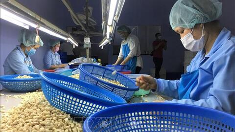 Xuất khẩu nông sản sẽ gặp khó khăn gì khi Nga bị loại khỏi SWIFT?