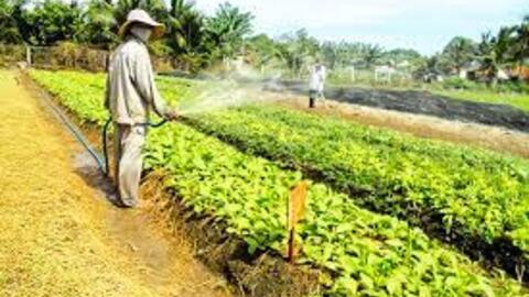 Hướng đến sản xuất nông nghiệp bền vững