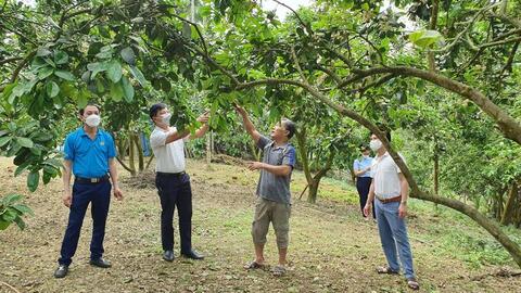 Xây dựng vườn mẫu NTM ở Tuyên Quang: Tiền đề hình thành vùng du lịch nông thôn