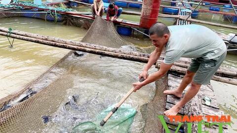 Hội Nông dân Nậm nhùn: Phát huy vai trò tổ chức Hội  xây dựng NTM