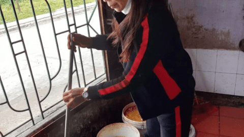 Tự làm vi sinh IMO để xử lý rác thải tại nhà