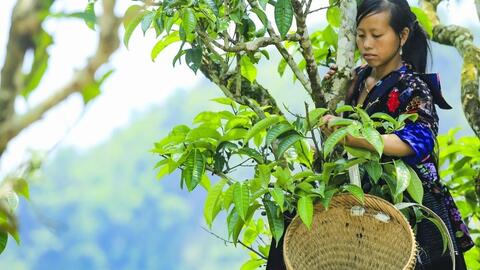 Xây dựng Nông thôn mới ở Tủa Chùa: Công tác tuyên truyền là yếu tố quyết định sự thành công
