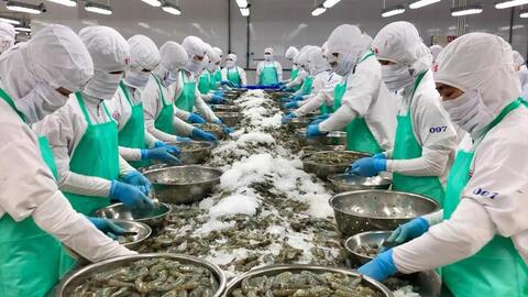 Xuất khẩu thủy sản của Việt Nam 6 tháng năm 2023