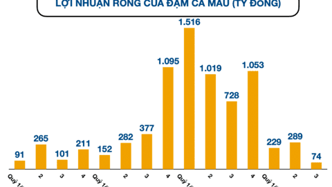 Lợi nhuận Đạm Cà Mau rơi về đáy 4 năm, thu 400 tỷ lãi tiền gửi trong 9 tháng
