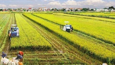 Việt Nam có 28.002.574 ha đất nông nghiệp