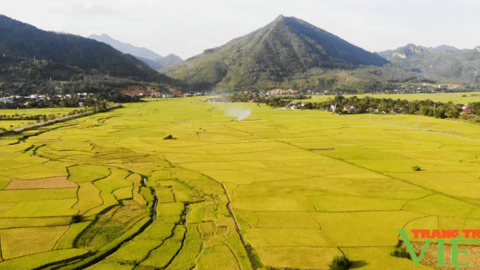 Sơn La: Nỗ lực giảm nghèo bền vững
