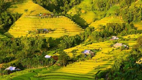 Định hướng phát triển kinh tế - xã hội các dân tộc thiểu số vùng Trung du và miền núi Bắc Bộ
