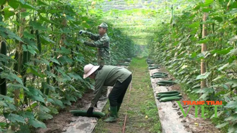 Được đào tạo nghề, nông dân Điện Biên Đông có "cần câu cơm"